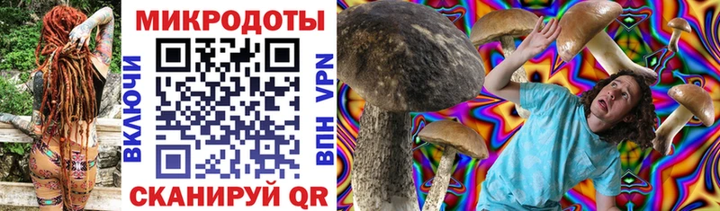 Галлюциногенные грибы MAGIC MUSHROOMS Купить Балахна
